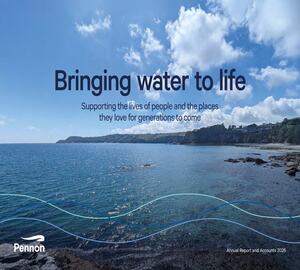 Annual report image
